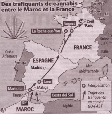 commen le bédo il vien a creil